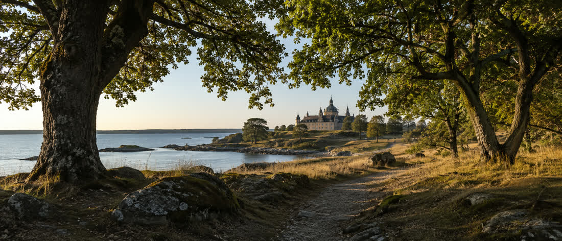Ancient oak grove with a view of a coastal castle, mood shot for Gränsö